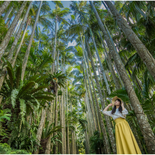 「美らヤシパークオキナワ・東南植物楽園」　日本1の観光地に選ばれた楽園で遊び尽くせ！