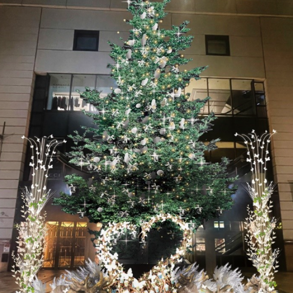🎄 大丸のクリスマス2024 点灯式イベント 🎄