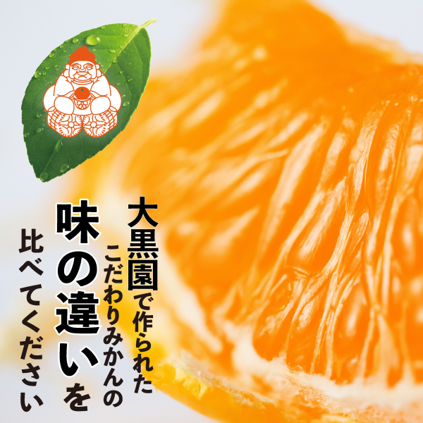 味の濃さが自慢のみかんを3種食べ比べ！