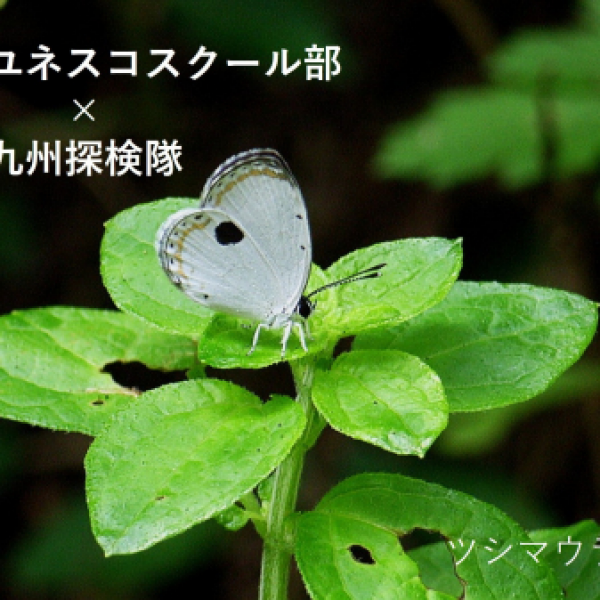 🍃🎄日本一海ゴミが流れ着く島“対馬”の 生徒たちと創るクリスマスツリー🎄🍃