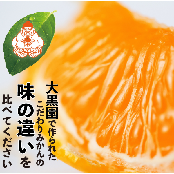 みかんにも違いがあるから面白い！６０年目のみかん農家がお届けする食べ比べセット！