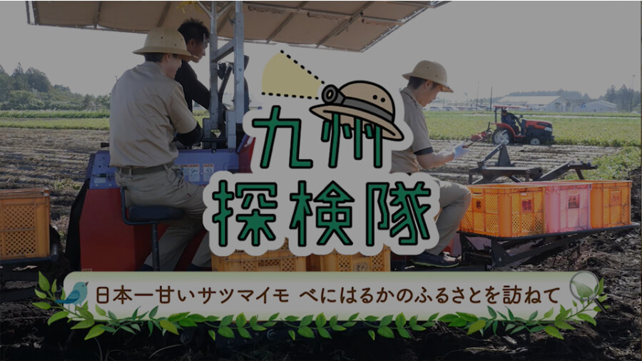 「九州探検隊 日本一甘いサツマイモ『べにはるか』のふるさとをたずねて」篇